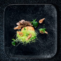 Фарфоровая посуда Rak Karbon