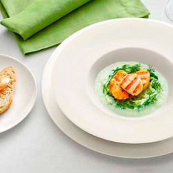 Фарфоровая посуда Tafelstern